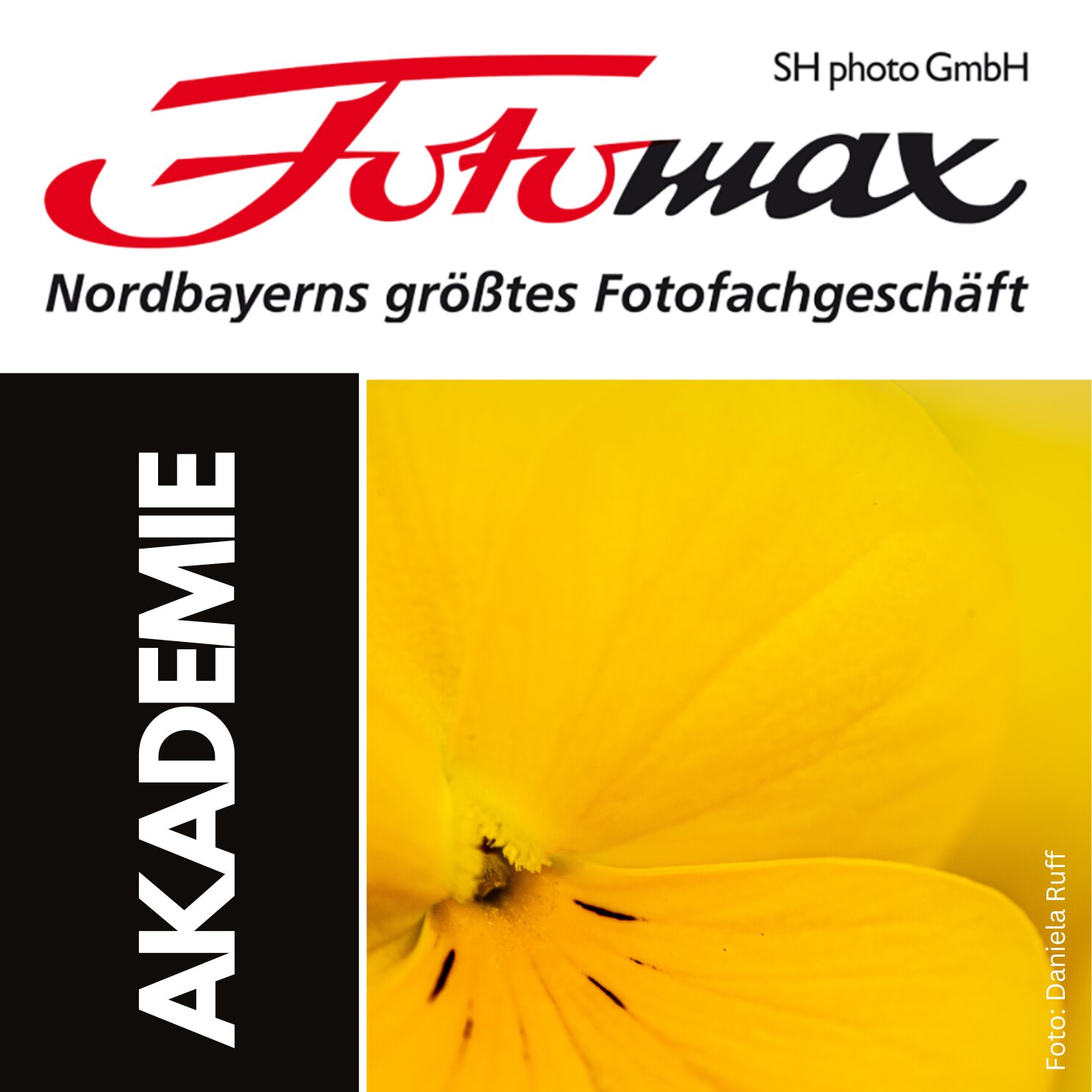Fotoworkshop: Herbstmotive und -stimmung | kreative Makro- und Nahbereichsfotografie | 18.10. + 19.10.2024